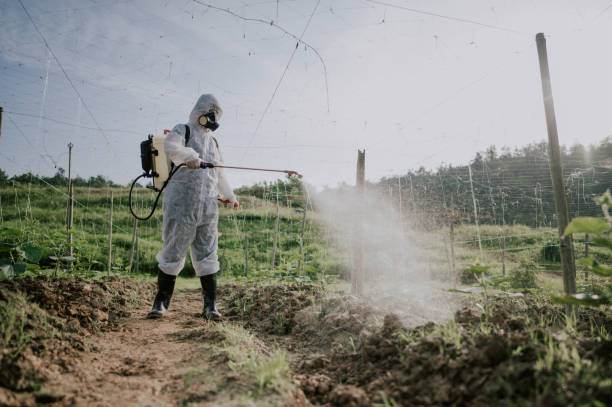 Pest Prevention Services in Kronenwetter, WI