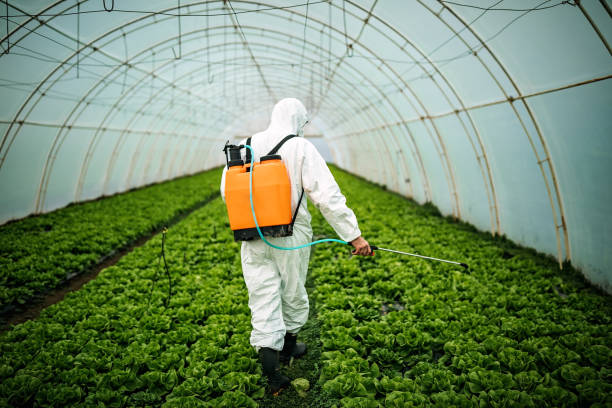 Best Local Pest Control Services  in Kronenwetter, WI