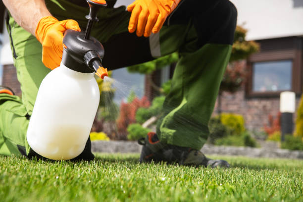 Best Mosquito Control Services  in Kronenwetter, WI