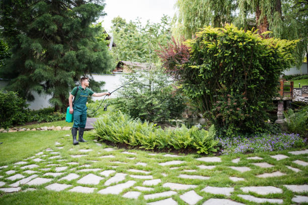 Best Wasp Removal Services  in Kronenwetter, WI