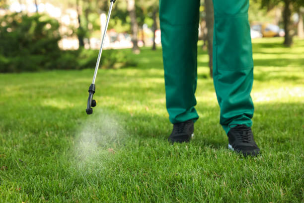 Best Pest Removal Services  in Kronenwetter, WI