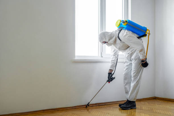 Best Pest Prevention Services  in Kronenwetter, WI