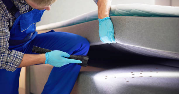 Trusted Kronenwetter, WI Pest Control Experts