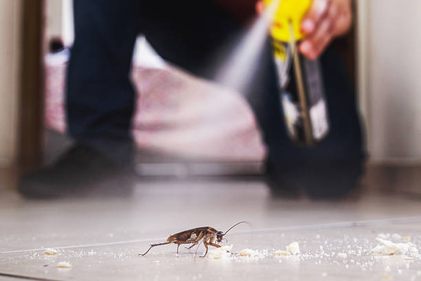 Best Pest Control for Homes  in Kronenwetter, WI