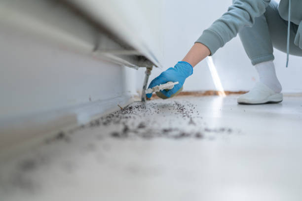 Best Pest Control Treatment  in Kronenwetter, WI